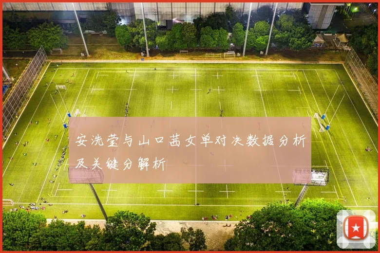 安洗莹与山口茜女单对决数据分析及关键分解析