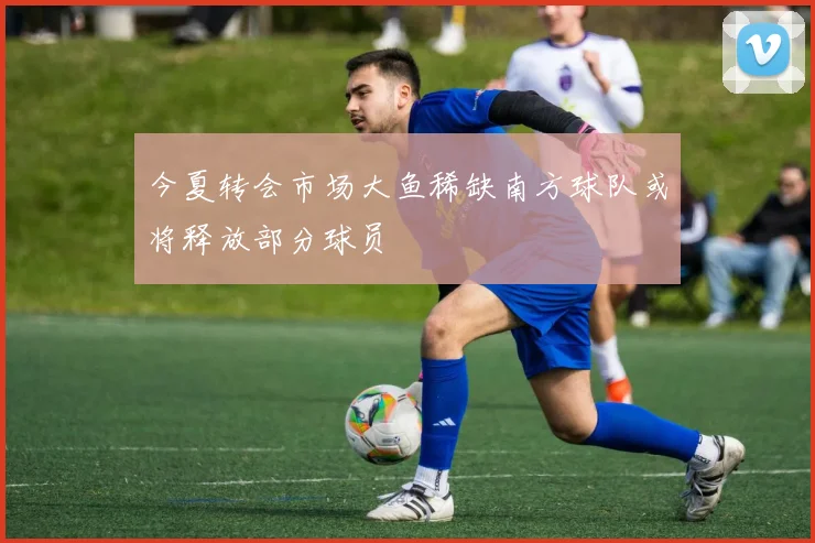 今夏转会市场大鱼稀缺南方球队或将释放部分球员