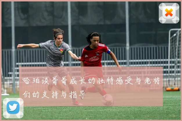 哈珀谈哥哥成长的独特感受与老将们的支持与指导